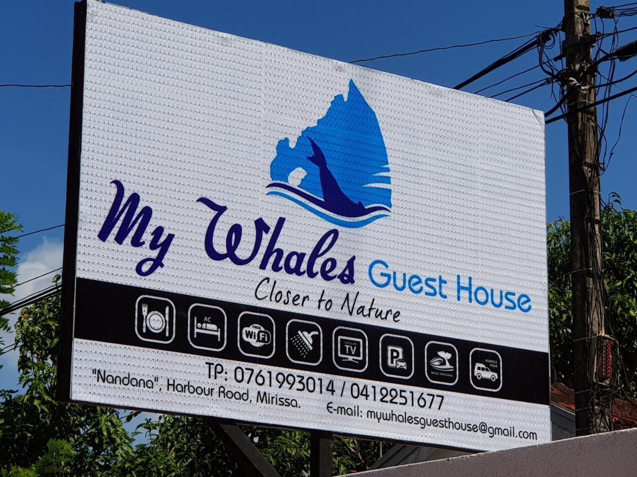 My Whales Guest House Banduramulla Eksteriør billede