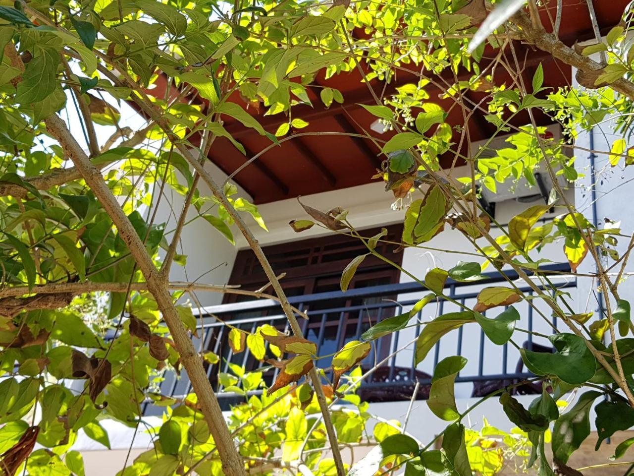 My Whales Guest House Banduramulla Eksteriør billede